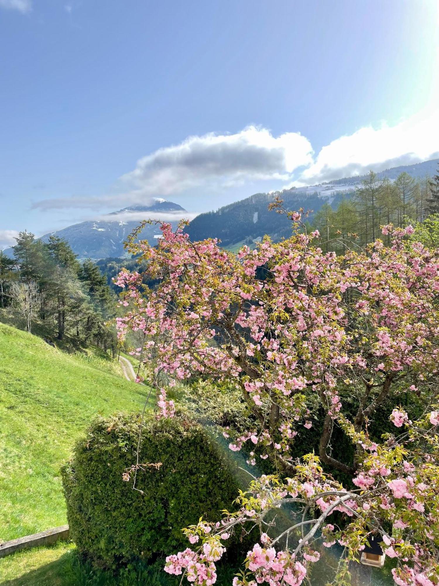 Stubai Apartment Telfes Telfes im Stubai Εξωτερικό φωτογραφία