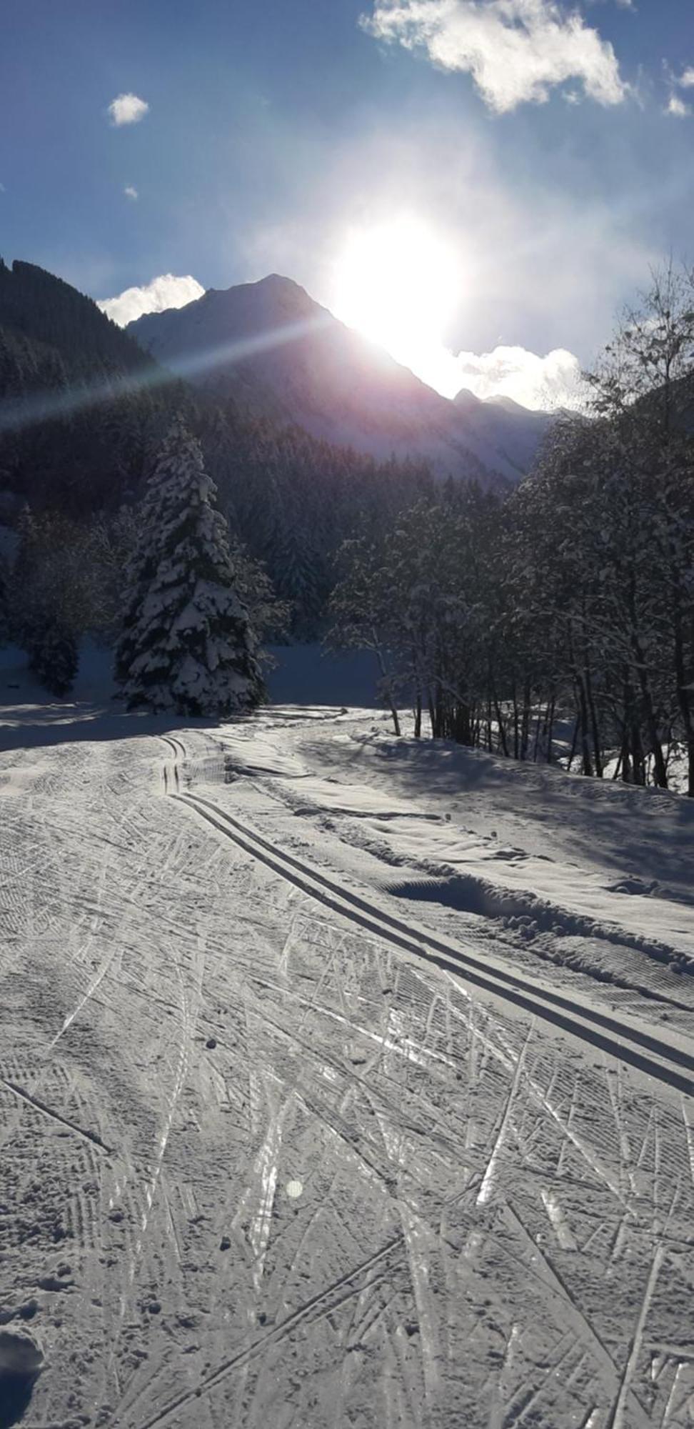 Stubai Apartment Telfes Telfes im Stubai Εξωτερικό φωτογραφία